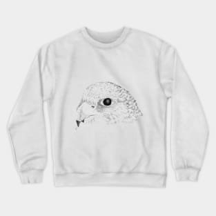 Kestrel Crewneck Sweatshirt